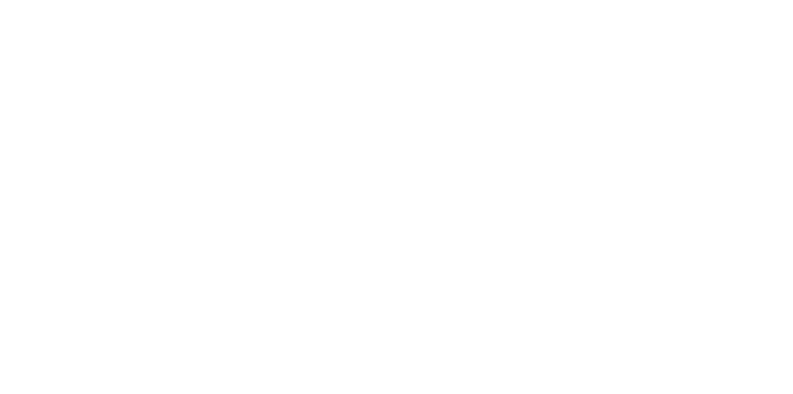 Coson IT Services